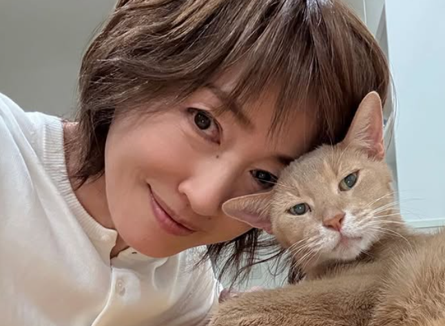 高島礼子の再婚相手の噂と元旦那・高知東生との復縁の可能性｜独身生活の今を追跡