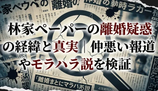 林家ペーパーの離婚疑惑の経緯と真実｜仲悪い報道やモラハラ説を検証