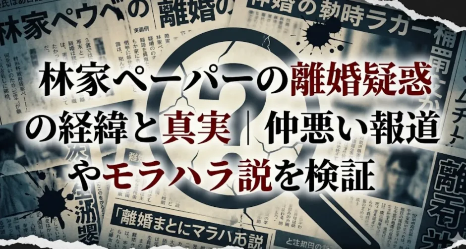 林家ペーパーの離婚疑惑の経緯と真実｜仲悪い報道やモラハラ説を検証